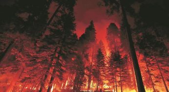 Live Updates: Southern California Faces Dangerous Winds and Wildfire Alerts Today