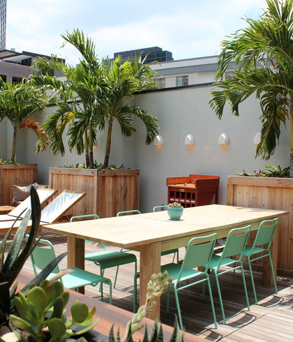 Selina Catahoula New Orleans