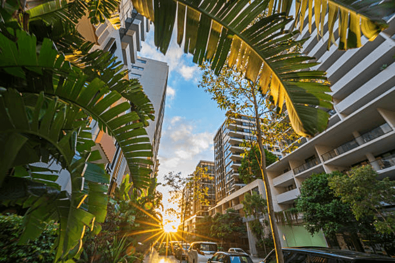 sydney weather this week forecast and tips