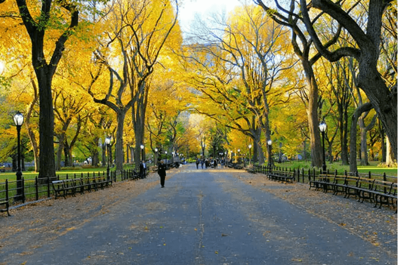  Best Family-Friendly Attractions in New York City