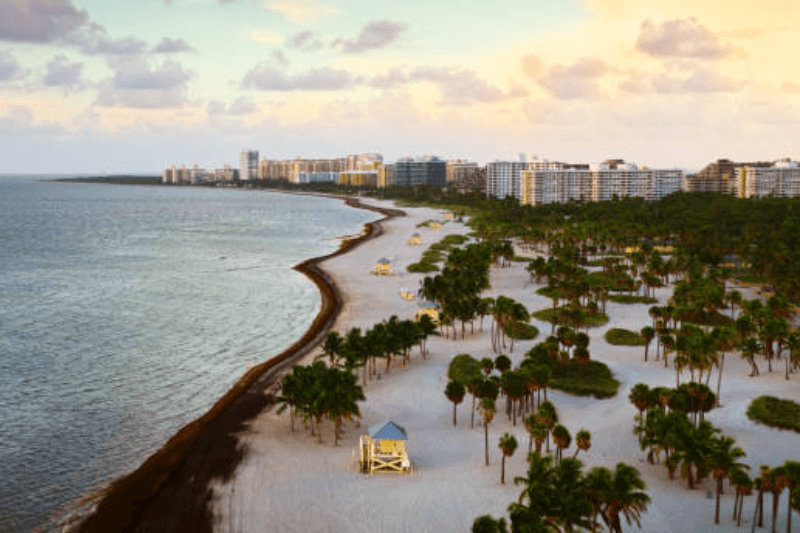 miamis best beaches for families vs nightlife