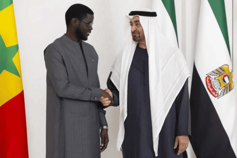  UAE–Senegal Trade and Investment: Ports, Energy, and Growth