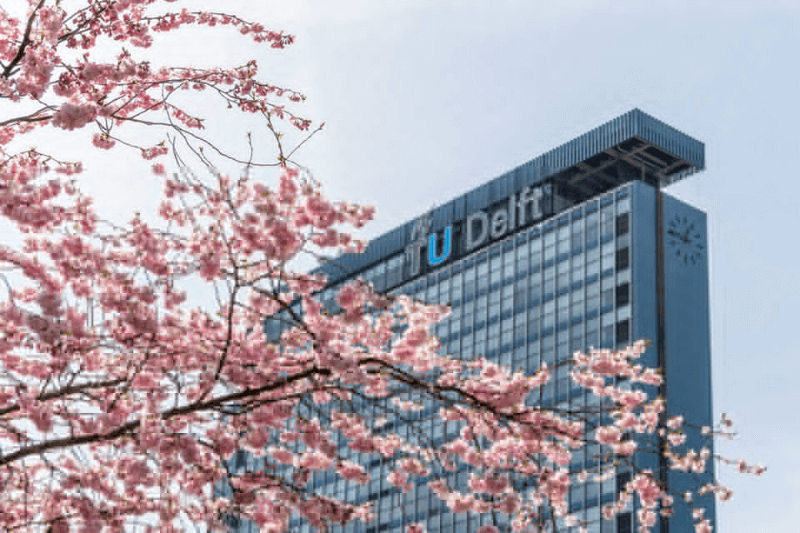 study in netherlands top universities opportunities