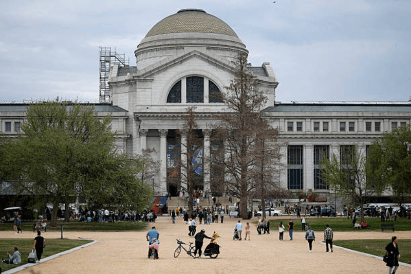 top 10 free museums in washington d c you can visit year round
