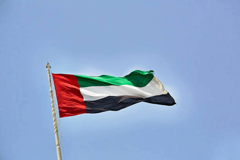 uae global human rights vision