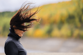 washington dc weekly weather update