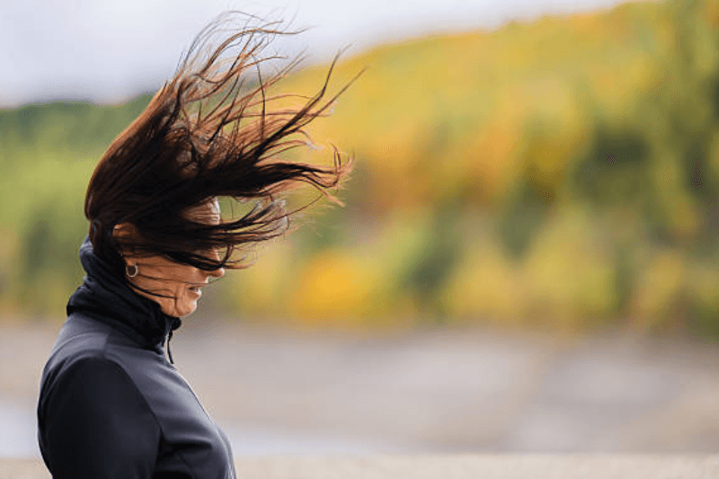 washington dc weekly weather update