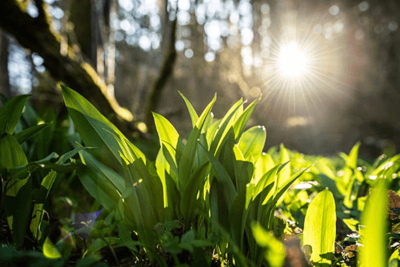 best time to visit italy for tourists