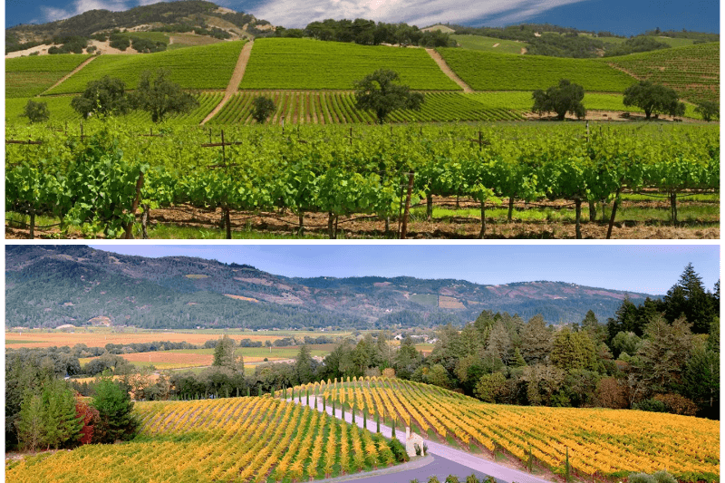 top california wine destinations where flavor meets landscape