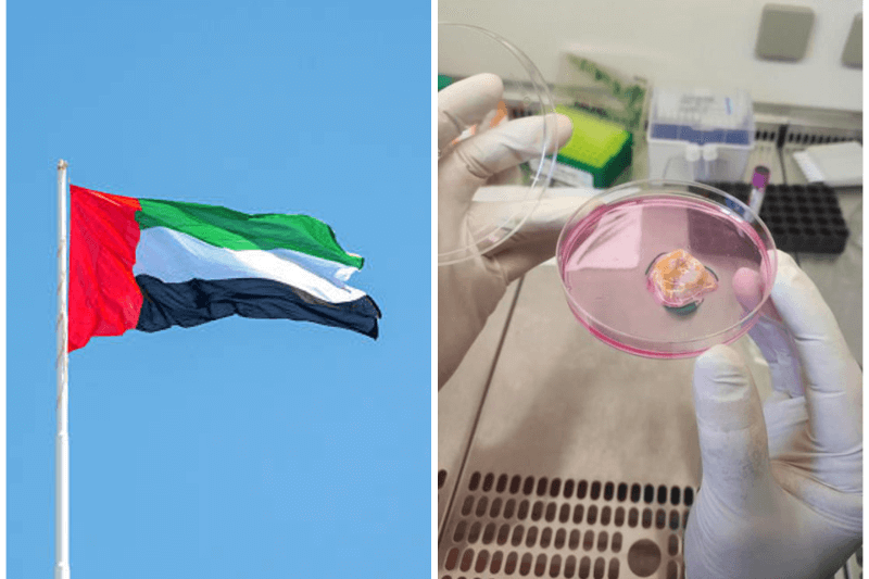 uae first tils cancer programme