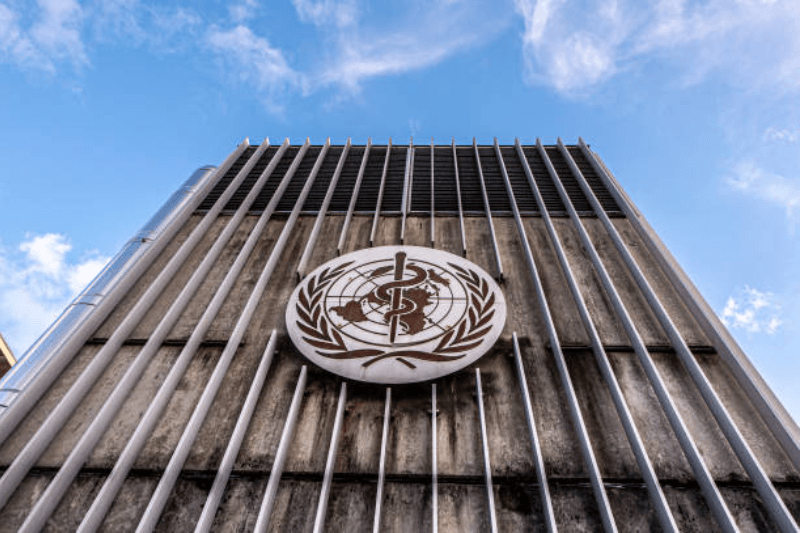 who obesity guidelines 2026