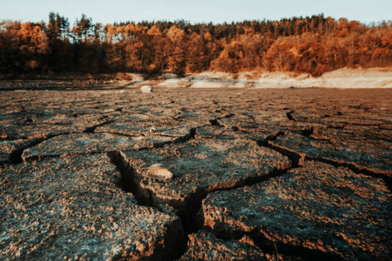 world water scarcity crisis 2025 responses