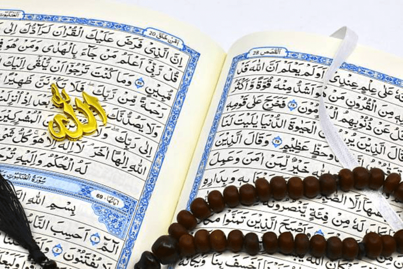 europe designate muslim brotherhood terrorist organization