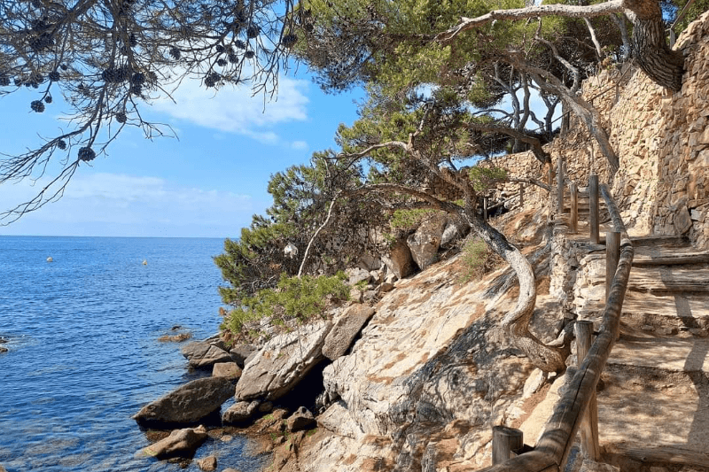 baldurs gate 3 vibes new games story magic 2026