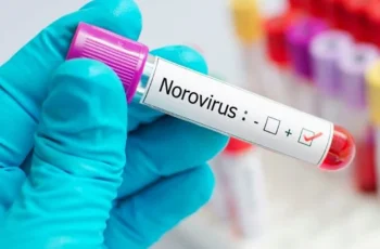norovirus strain hits tenerife cruise