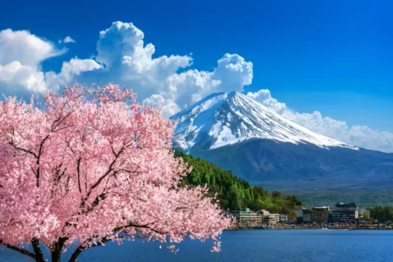 spain vs japan digital nomad visa 2026 requirements