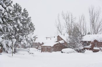 colorado may snowstorm spring weather whiplash garden tips