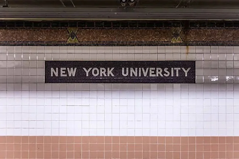 new york university (nyu)
