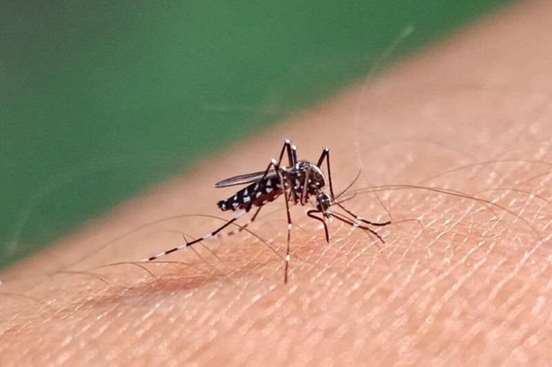 why mosquito bites get worse when you scratch them