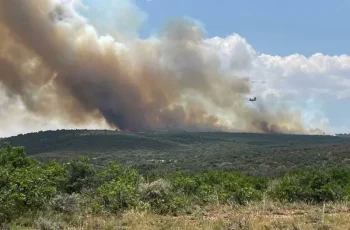 wildfire smoke tracker