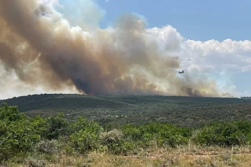 wildfire smoke tracker