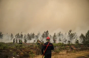 bordeaux wildfire and climate change