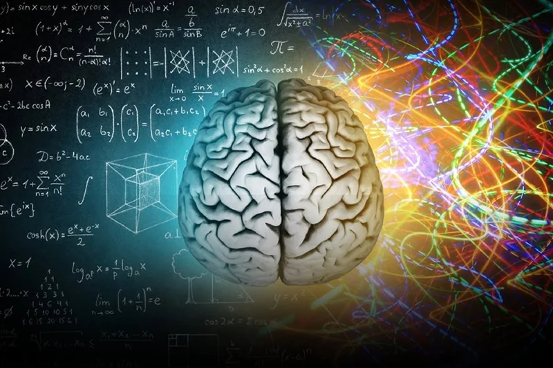 brain