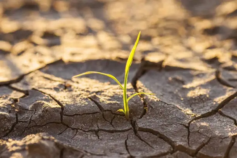 central europe drought