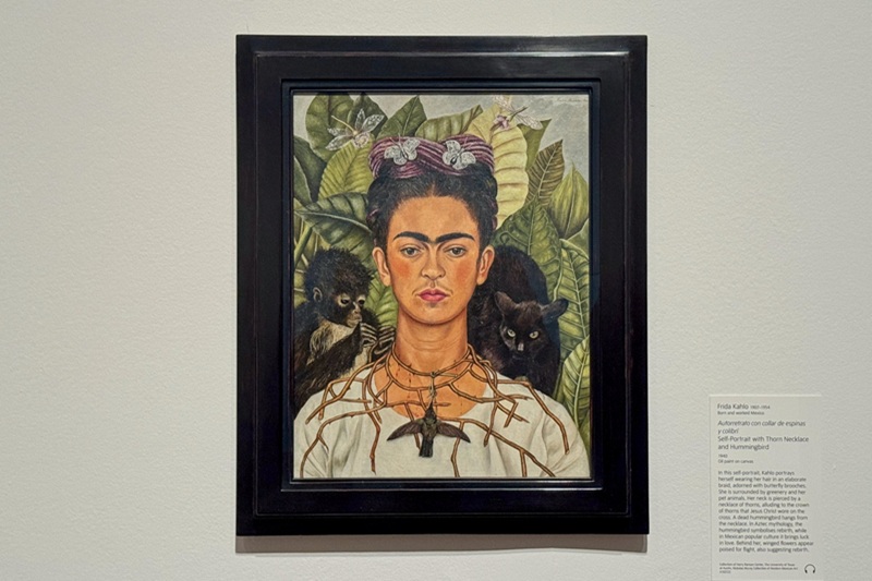 frida kahlo exhibition at tate modern