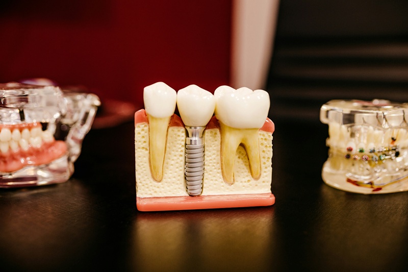 scientists are regrowing human teeth