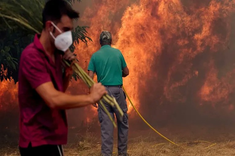 spain deadly wildfire
