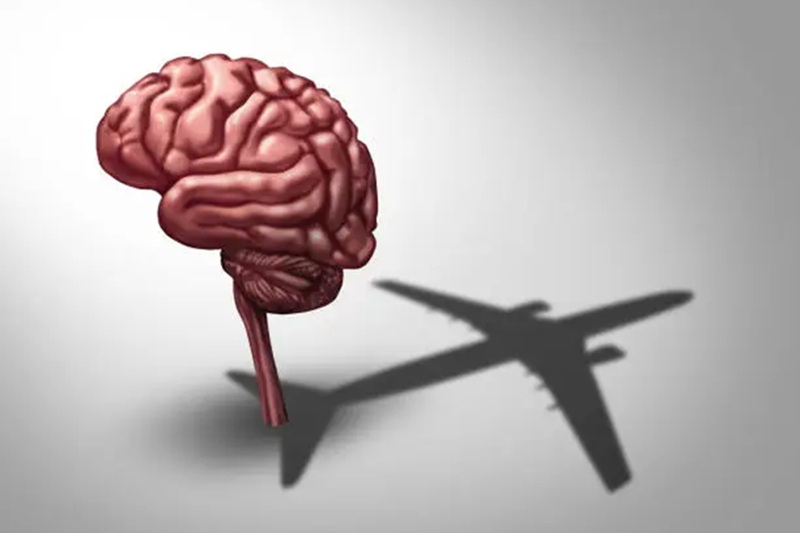 travel changes the human brain explained