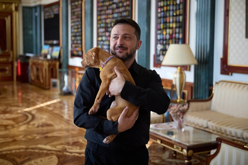 Terence Crawford Zelensky puppy