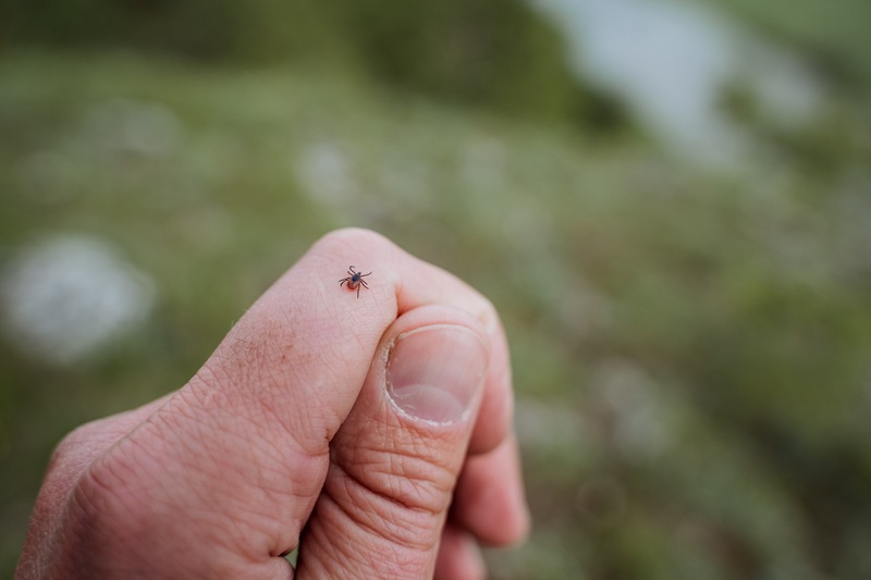 tick protection for humans
