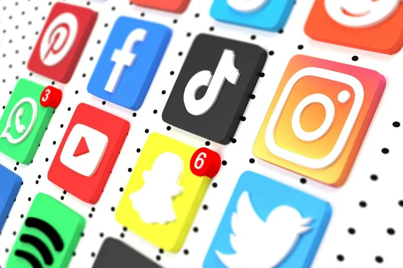 France social media ban