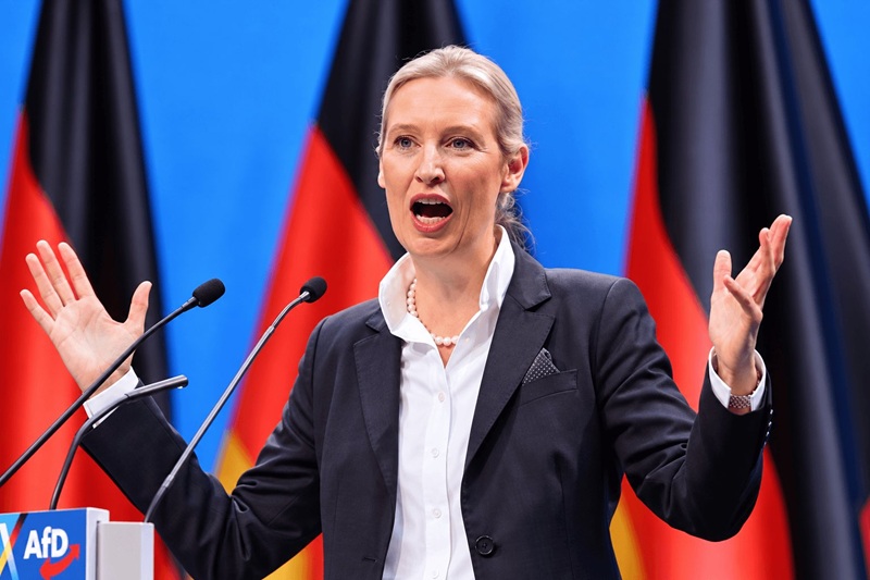 germany’s far right afd wins