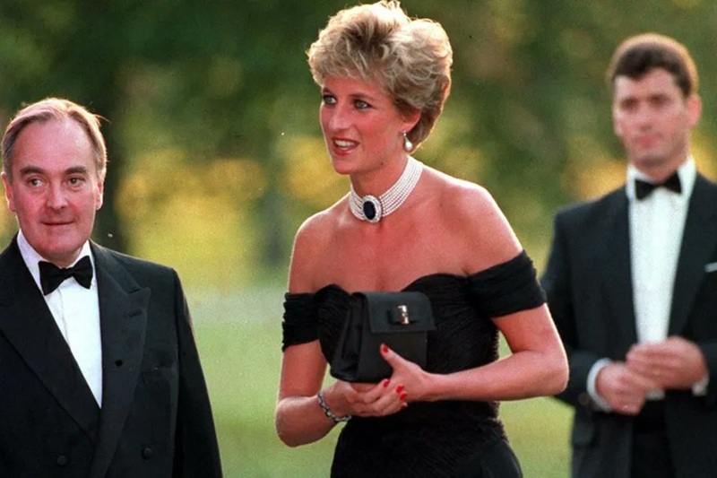Princess Diana Revenge Dress