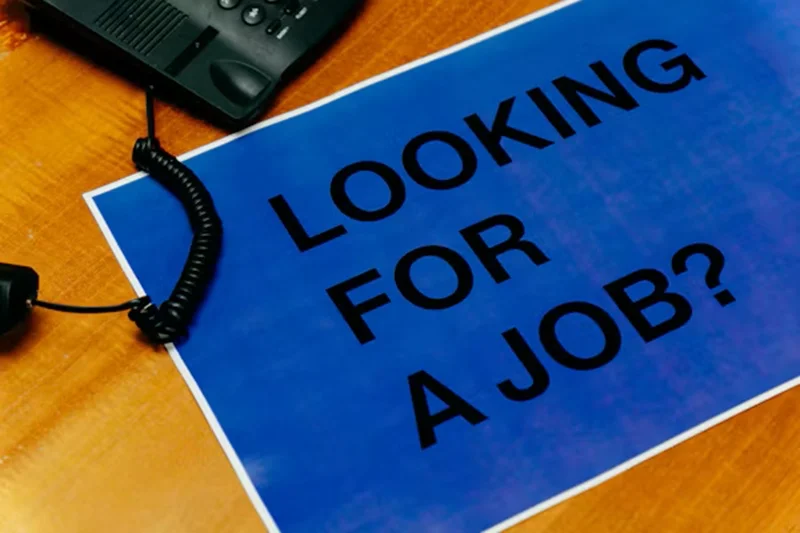 entry level jobs